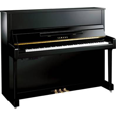 原声加振钢琴™ TC3